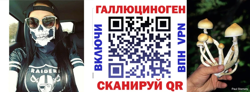 ОМГ ОМГ сайт  купить наркотики цена  Элиста  Галлюциногенные грибы Magic Shrooms 