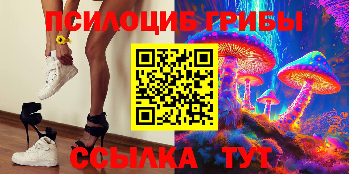 Элиста  Галлюциногенные грибы прущие грибы  Вход с VPN 