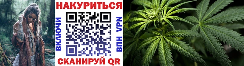 Конопля гибрид Элиста